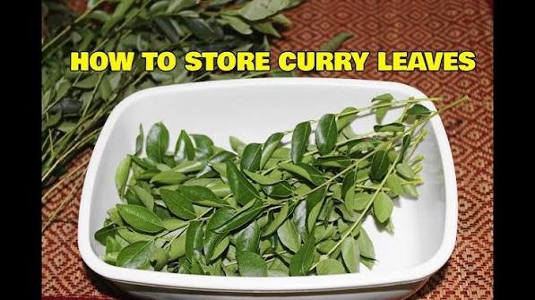 how to store curry leaves in fridge for long time