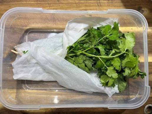 how to keep coriander fresh in fridge for 2 weeks